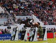 SWEETNAM AMARETTO LaBaule2013- S5 6076 : 2013, AMARETTO DARCO, La Baule, SWEETNAM SHANE, foto di Stefano Secchi ©