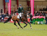 SWEETNAM AMARETTO LaBaule2013- S5 9727 : 2013, AMARETTO DARCO, La Baule, SWEETNAM SHANE, foto di Stefano Secchi ©