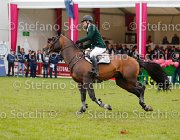 SWEETNAM AMARETTO LaBaule2013- S5 9733 : 2013, AMARETTO DARCO, La Baule, SWEETNAM SHANE, foto di Stefano Secchi ©