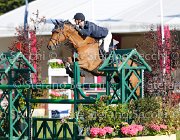 TWOMEY DIAGHILEV LaBaule2013- S5 4939 : 2013, DIAGHLIEV, La Baule, TWOMEY BILLY, foto di Stefano Secchi