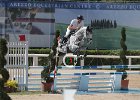 Mion_Iris_ArEcc2014_SS7_0474.jpg : Eccellenza Arezzo 2014, IRIS DELLE SCHIAVE, MION CRISTIANO, Stefano Secchi