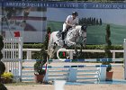 Mion_Iris_ArEcc2014_SS7_0475.jpg : Eccellenza Arezzo 2014, IRIS DELLE SCHIAVE, MION CRISTIANO, Stefano Secchi