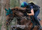 _S5_4986.jpg : Horses, ph Stefano Secchi ©