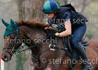 _S5_4987.jpg : Horses, ph Stefano Secchi ©