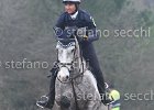 4B7G1043.jpg : Horses, ph Stefano Secchi ©