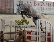 Cadoro TosTour2013- S5 3050 : Arezzo, Arezzo Equestrian Centre, Cadoro, Cavalli d'Italia, Toscana Tour 2013, foto di Stefano Secchi ©