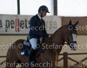 Lotus TosTour2013- S5 3112 : Arezzo, Arezzo Equestrian Centre, Cavalli d'Italia, Lotus, Lotus del Sole, Toscana Tour 2013, foto di Stefano Secchi ©