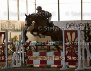 Lotus TosTour2013- S5 3115 : Arezzo, Arezzo Equestrian Centre, Cavalli d'Italia, Lotus, Lotus del Sole, Toscana Tour 2013, foto di Stefano Secchi ©