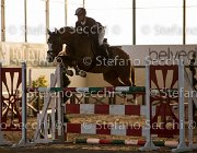 Lotus TosTour2013- S5 3118 : Arezzo, Arezzo Equestrian Centre, Cavalli d'Italia, Lotus, Lotus del Sole, Toscana Tour 2013, foto di Stefano Secchi ©