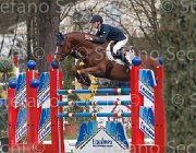 Allen Romanov TosTour 2013- S4 6629 : Allen Bertram, Arezzo Equestrian Centre, Romanov, Toscana Tour 2013, foto di Stefano Secchi ©