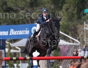 Allen Zenzation TosTour 2013- S5 7468 : Allen Bertram, Arezzo Equestrian Centre, Toscana Tour 2013, Zenzation, foto di Stefano Secchi ©