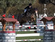 Andries Cicero TosTour2013- S5 1963 : Andries Stephanie, Arezzo, Arezzo Equestrian Centre, Cicero, Toscana Tour 2013, foto di Stefano Secchi ©