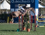 Andries Cicero TosTour2013- S5 1964 : Andries Stephanie, Arezzo, Arezzo Equestrian Centre, Cicero, Toscana Tour 2013, foto di Stefano Secchi ©