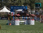 Berge Lazur TosTour2013- S5 2254 : Arezzo, Arezzo Equestrian Centre, Berge Lars, Lazur, Toscana Tour 2013, foto di Stefano Secchi ©