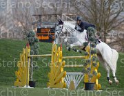 Bicocchi Laius TosTour2013- S5 2850 : Arezzo, Arezzo Equestrian Centre, Bicocchi Emilio, Laius, Toscana Tour 2013, foto di Stefano Secchi ©