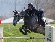 Bicocchi Rodgerio TosTour2013- S5 2097 : Arezzo, Arezzo Equestrian Centre, Bicocchi Emilio, Rodgerio, Toscana Tour 2013, foto di Stefano Secchi ©