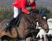 Bonomelli Castigo TosTour 2013- S5 7628 : Arezzo Equestrian Centre, Bonomelli Omar, Castigo della Caccia, Toscana Tour 2013, foto di Stefano Secchi ©