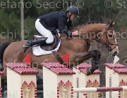 Bost Coeur TosTour 2013- S4 6739 : Arezzo Equestrian Centre, Bost Roger Yves, Coeur de la Loge, Toscana Tour 2013, foto di Stefano Secchi ©