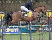 Bost Coeur TosTour 2013- S4 6742 : Arezzo Equestrian Centre, Bost Roger Yves, Coeur de la Loge, Toscana Tour 2013, foto di Stefano Secchi ©