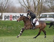 Bost Nippon TosTour 2013- S5 7888 : Arezzo Equestrian Centre, Bost Roger Yves, Nippon d'Elle, Toscana Tour 2013, foto di Stefano Secchi ©