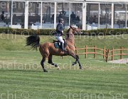 Bost Vivaldo TosTour2013- S5 2598 : Arezzo, Arezzo Equestrian Centre, Bost, Bost Roger Yves, Toscana Tour 2013, Vivaldo Van Het, foto di Stefano Secchi ©