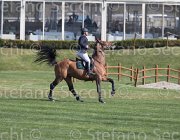 Bost Vivaldo TosTour2013- S5 2599 : Arezzo, Arezzo Equestrian Centre, Bost, Bost Roger Yves, Toscana Tour 2013, Vivaldo Van Het, foto di Stefano Secchi ©