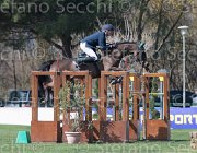 Brotto Gitana TosTour2013- S5 2500 : Arezzo, Arezzo Equestrian Centre, Brotto Fabio, R-Gitana, Toscana Tour 2013, foto di Stefano Secchi ©