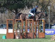 Brotto Gitana TosTour2013- S5 2501 : Arezzo, Arezzo Equestrian Centre, Brotto Fabio, R-Gitana, Toscana Tour 2013, foto di Stefano Secchi ©