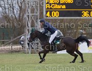 Brotto R-Gitana TosTour 2013- S5 7867 : Arezzo Equestrian Centre, Brotto Fabio, R-Gitana, Toscana Tour 2013, foto di Stefano Secchi ©