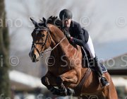 Buller Landor TosTour2013- S5 1977 : Arezzo, Arezzo Equestrian Centre, Buller Evie, Toscana Tour 2013, Yalambi's Landor, foto di Stefano Secchi ©