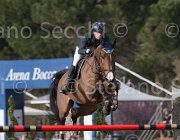 Carrara Cornetto TosTour 2013- S5 7657 : Arezzo Equestrian Centre, Carrara Alberto, Cornetto, Toscana Tour 2013, foto di Stefano Secchi ©