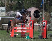 Carrara Crack TosTour 2013- S5 3245