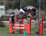 Carrara Crack TosTour 2013- S5 3246