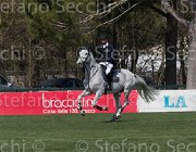 Chiaudani Corradio TosTour2013- S5 2465 : Arezzo, Arezzo Equestrian Centre, Chiaudani Natale, Corradio OH, Toscana Tour 2013, foto di Stefano Secchi ©