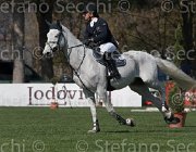 Chiaudani Corradio TosTour2013- S5 2469 : Arezzo, Arezzo Equestrian Centre, Chiaudani Natale, Corradio OH, Toscana Tour 2013, foto di Stefano Secchi ©
