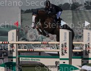 Chiaudani Daylight TosTour 2013- S5 3414 : Arezzo Equestrian Centre, Chiaudani Natale, Daylight vdV, Toscana Tour 2013, foto di Stefano Secchi ©
