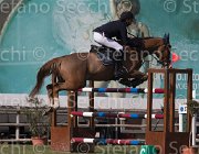 Chiaudani Daylight TosTour 2013- S5 3419 : Arezzo Equestrian Centre, Chiaudani Natale, Daylight vdV, Toscana Tour 2013, foto di Stefano Secchi ©