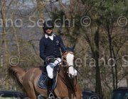Chiaudani Daylight TosTour 2013- S5 3421 : Arezzo Equestrian Centre, Chiaudani Natale, Daylight vdV, Toscana Tour 2013, foto di Stefano Secchi ©