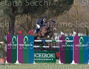 Chiaudani Quicka TosTour 2013- S5 7155 : Arezzo Equestrian Centre, Chiaudani Natale, Quicka, Toscana Tour 2013, foto di Stefano Secchi ©
