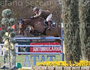 Coata Whycocnah TosTour 2013- S5 7431 : Arezzo Equestrian Centre, Coata Simone, Toscana Tour 2013, foto di Stefano Secchi ©, whycoconah