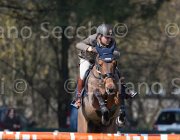 Coata Whycoconah TosTour2013- S5 2578 : Arezzo, Arezzo Equestrian Centre, Coata Simone, Toscana Tour 2013 Whycoconah, foto di Stefano Secchi ©