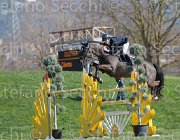 Colombo Winner TosTour2013- S5 2823 : Arezzo, Arezzo Equestrian Centre, Colombo Alessandro, Toscana Tour 2013, Winner, foto di Stefano Secchi ©