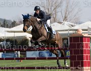 Consorti Silvestras TosTour2013- S5 2239 : Arezzo, Arezzo Equestrian Centre, Consorti Giovanni, Silverstras, Toscana Tour 2013, foto di Stefano Secchi ©