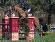 Curcio Katar TosTour2013- S5 2160 : Arezzo, Arezzo Equestrian Centre, Courcio Serena_Katar Z, Toscana Tour 2013, foto di Stefano Secchi ©