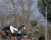 Curcio Katar TosTour2013- S5 2165 : Arezzo, Arezzo Equestrian Centre, Courcio Serena_Katar Z, Toscana Tour 2013, foto di Stefano Secchi ©