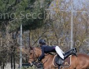 Curcio Katar TosTour2013- S5 2166 : Arezzo, Arezzo Equestrian Centre, Courcio Serena_Katar Z, Toscana Tour 2013, foto di Stefano Secchi ©
