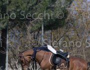 Curcio Katar TosTour2013- S5 2167 : Arezzo, Arezzo Equestrian Centre, Courcio Serena_Katar Z, Toscana Tour 2013, foto di Stefano Secchi ©