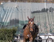 Curcio Katar TosTour2013- S5 2177 : Arezzo, Arezzo Equestrian Centre, Courcio Serena_Katar Z, Toscana Tour 2013, foto di Stefano Secchi ©