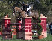 DAllamano Zico TosTour2013- S5 2205 : Arezzo, Arezzo Equestrian Centre, Dallamano Julia, Toscana Tour 2013, Zico V, foto di Stefano Secchi ©