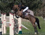 DAllamano Zico TosTour2013- S5 2206 : Arezzo, Arezzo Equestrian Centre, Dallamano Julia, Toscana Tour 2013, Zico V, foto di Stefano Secchi ©